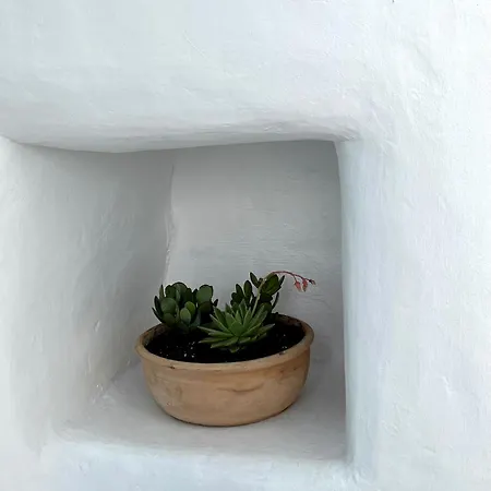Skepi Town Апартаменты Mykonos Town