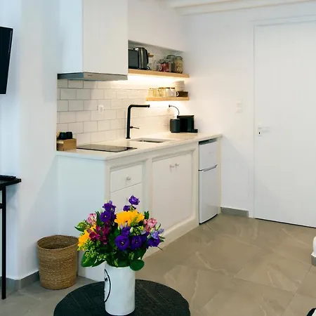 Apartment Skepi Town